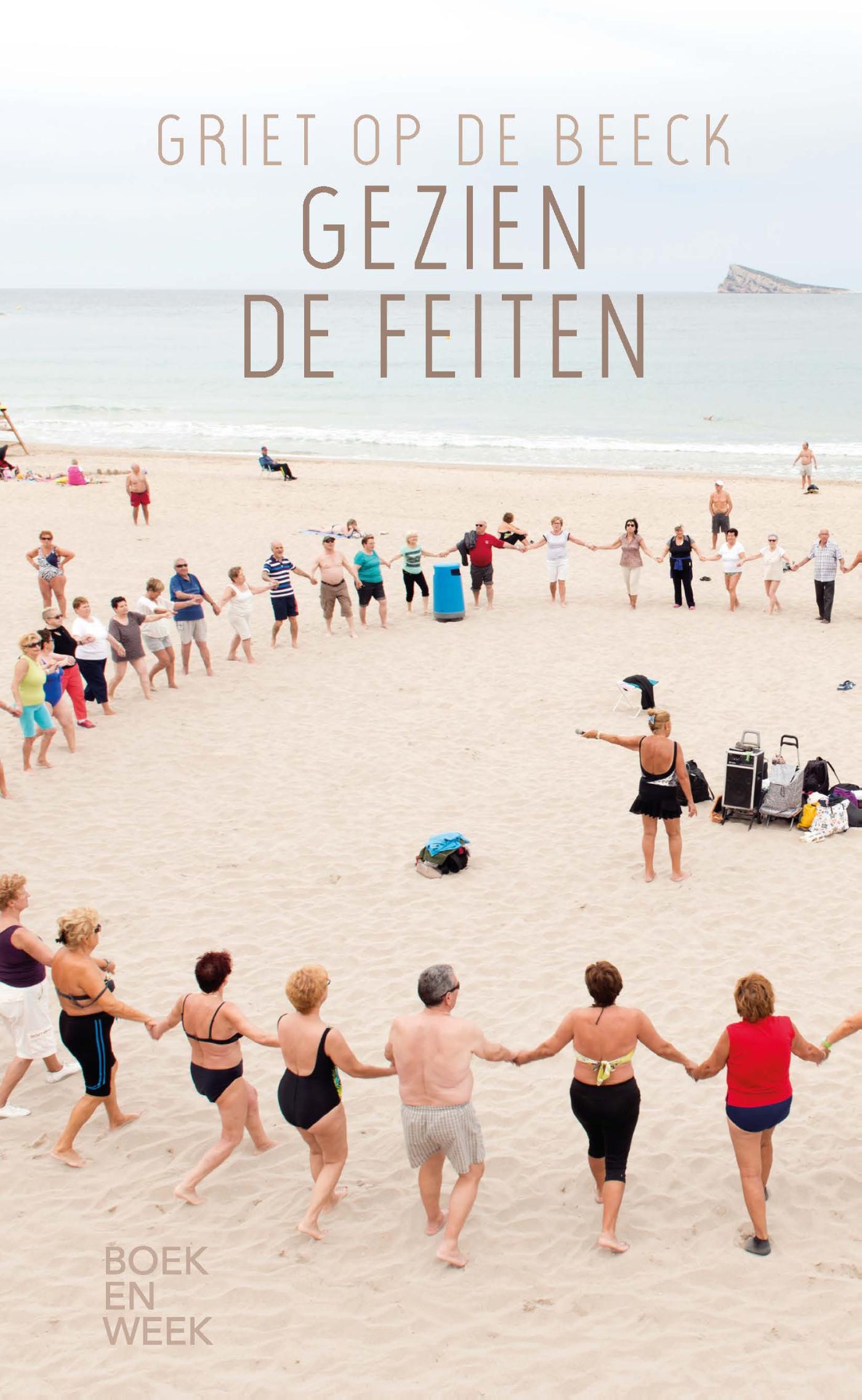 Omslag van Gezien de feiten