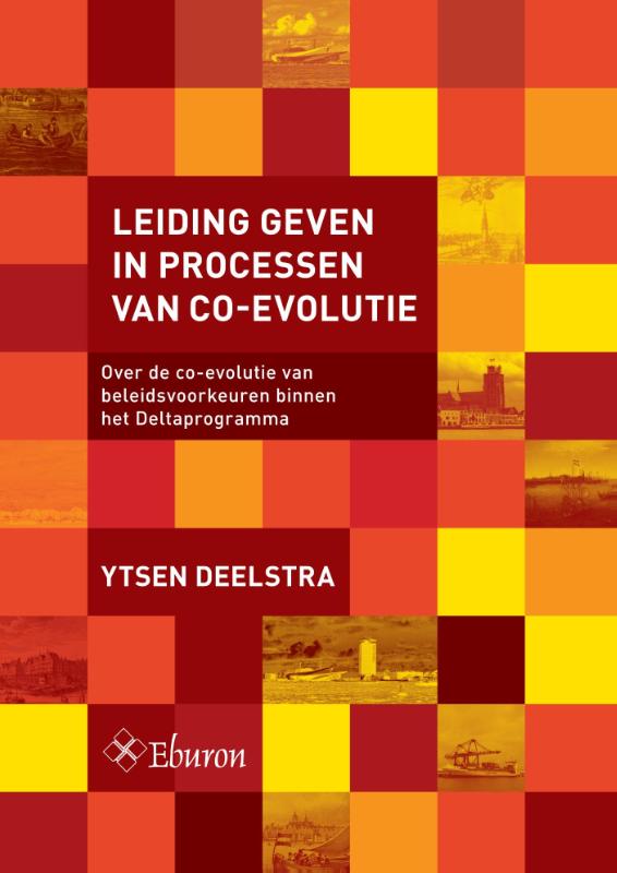 Omslag van Leiding geven in processen van co-evolutie