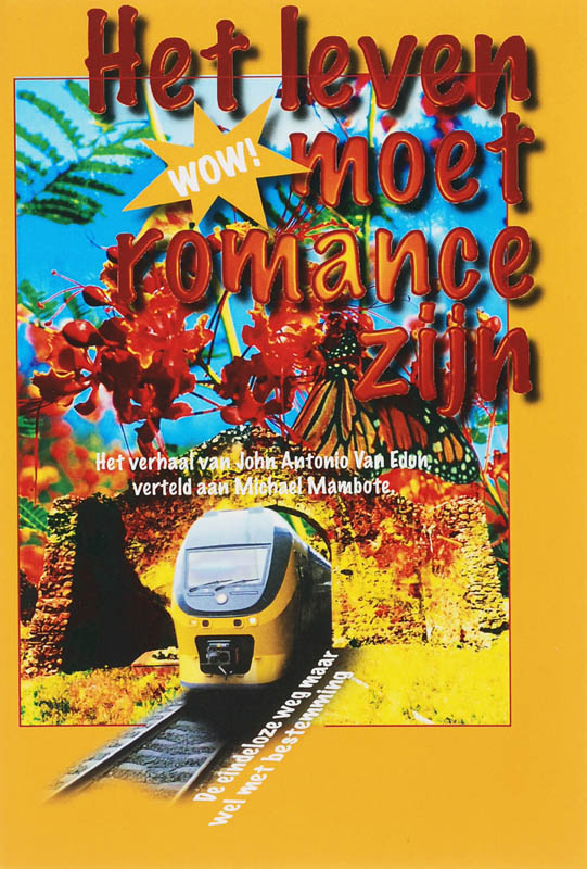 Omslag van Het leven moet romance zijn
