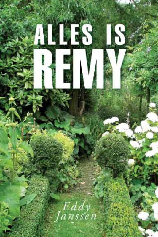 Omslag van Alles is Remy