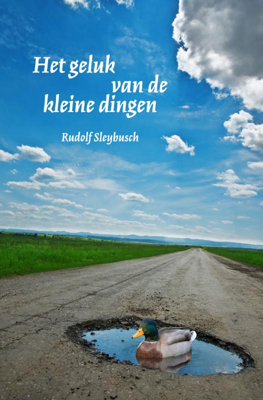 Omslag van Het geluk van de kleine dingen