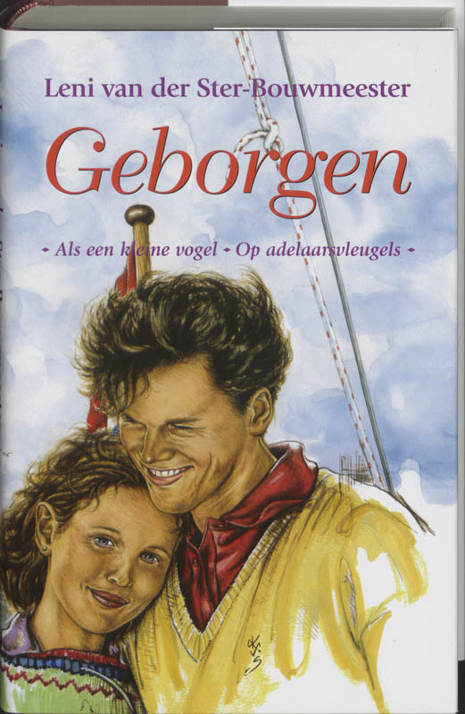 Omslag van Geborgen