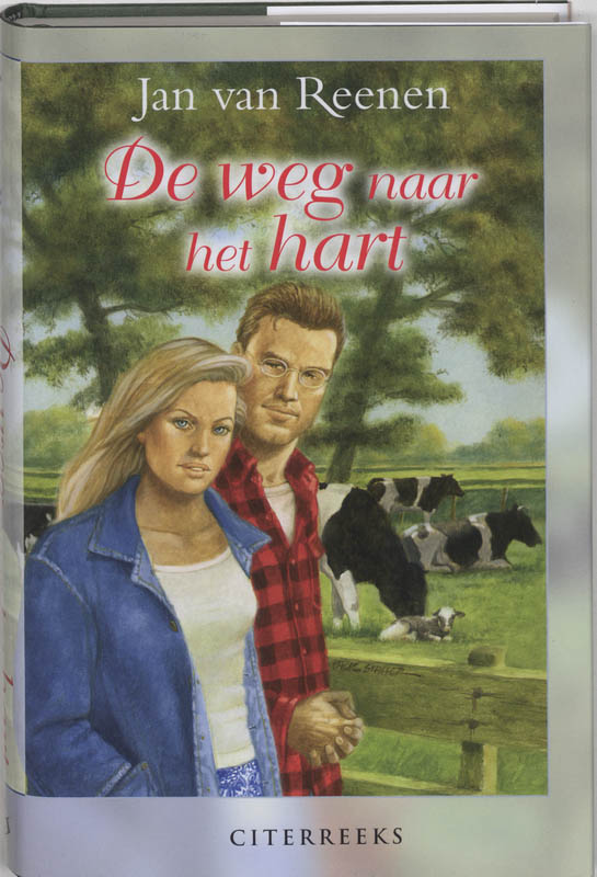 Omslag van De weg naar het hart