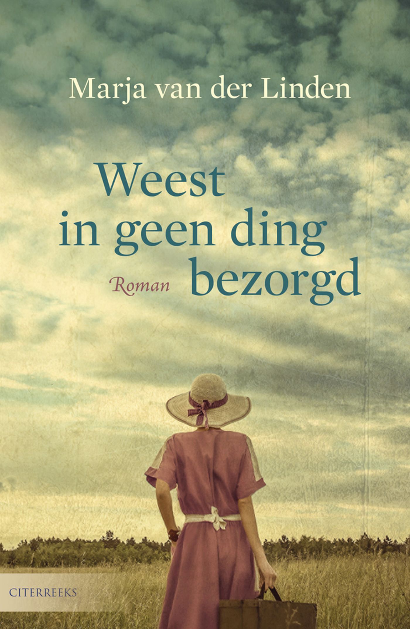 Omslag van Weest in geen ding bezorgd