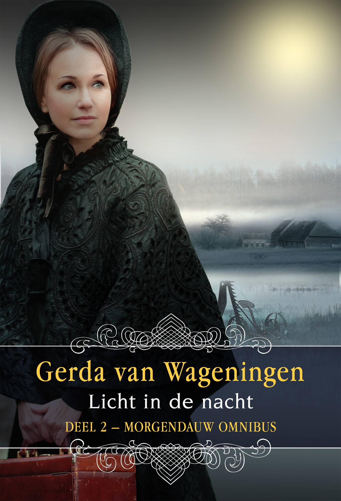 Omslag van Licht in de nacht