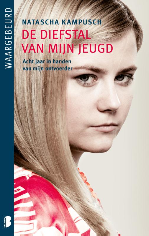 Omslag van De diefstal van mijn jeugd