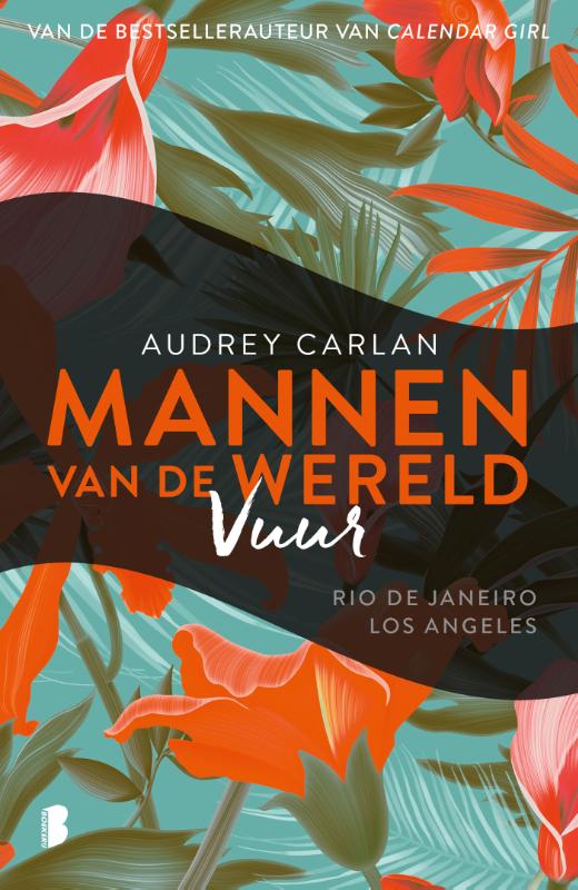 Omslag van Vuur