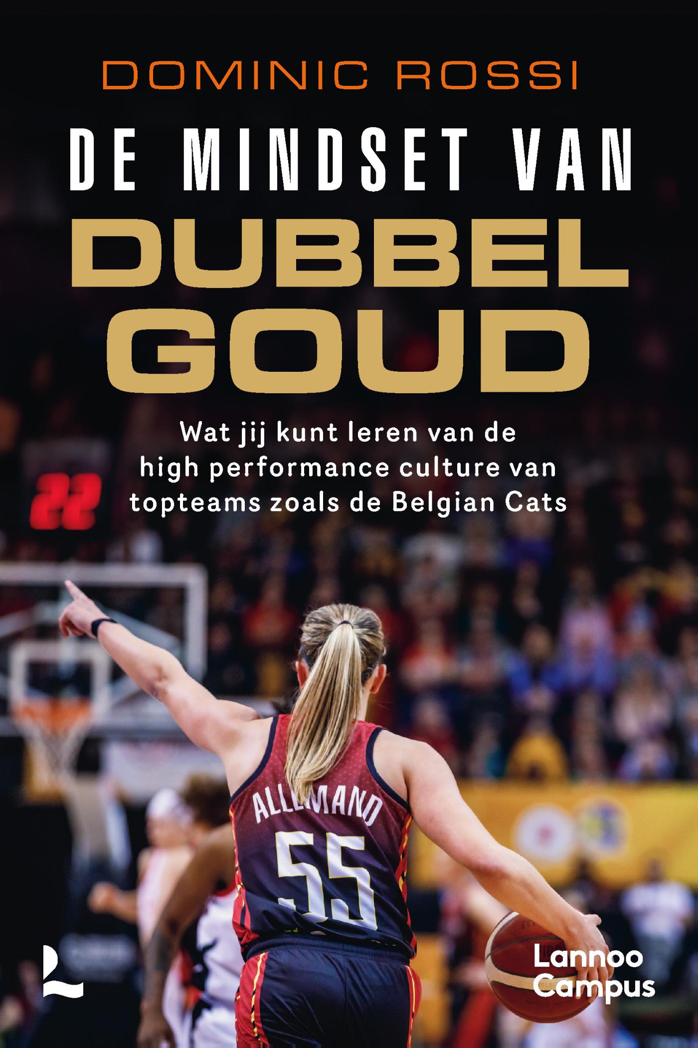 Omslag van De mindset van dubbel goud