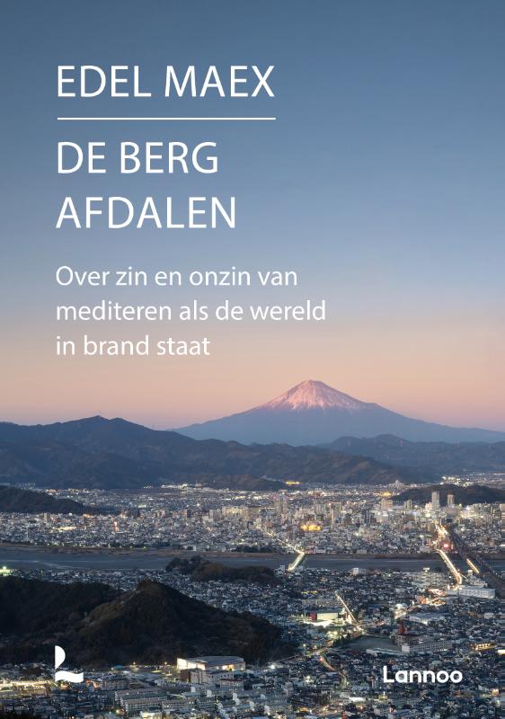 Omslag van De berg afdalen