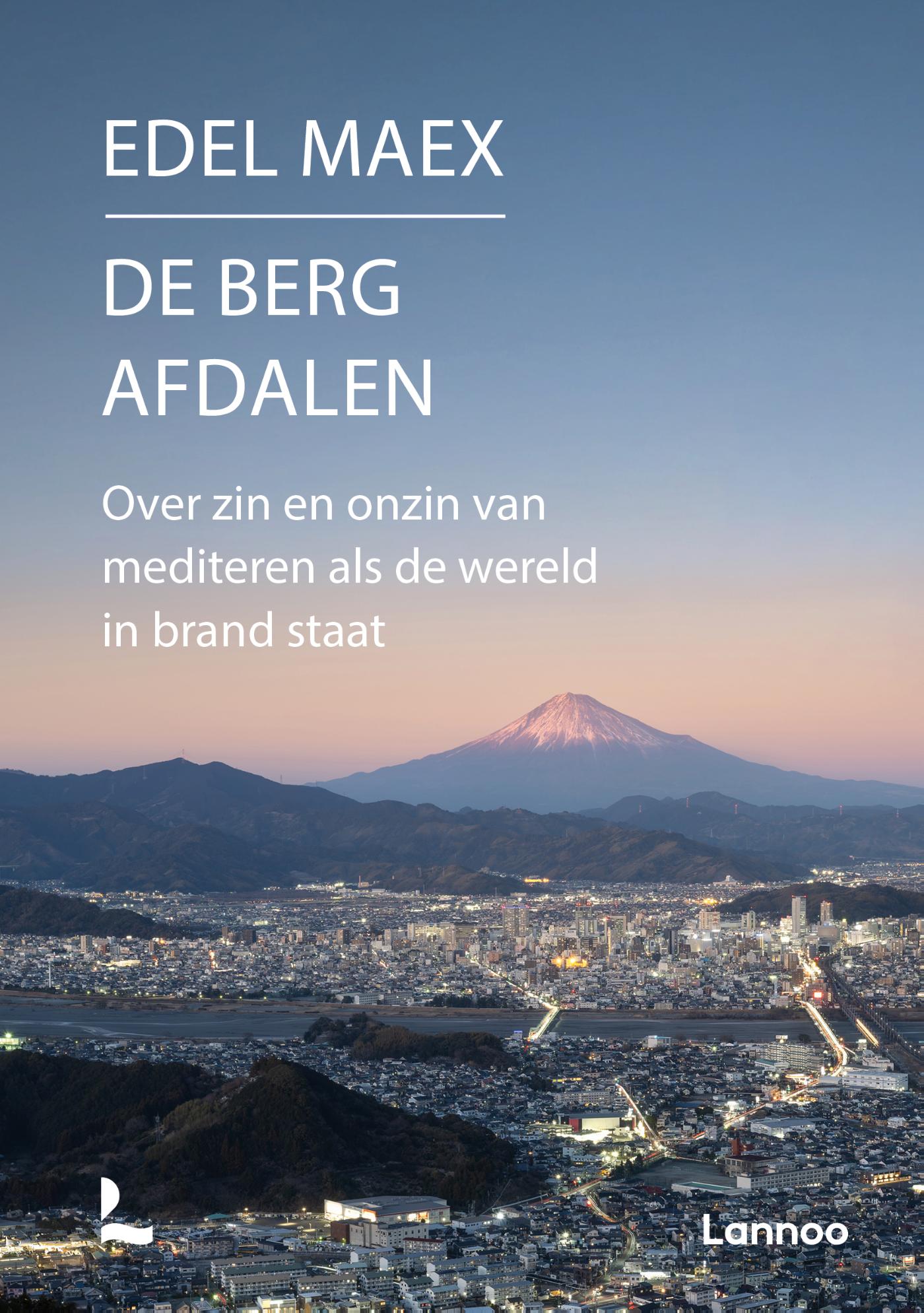 Omslag van De berg afdalen