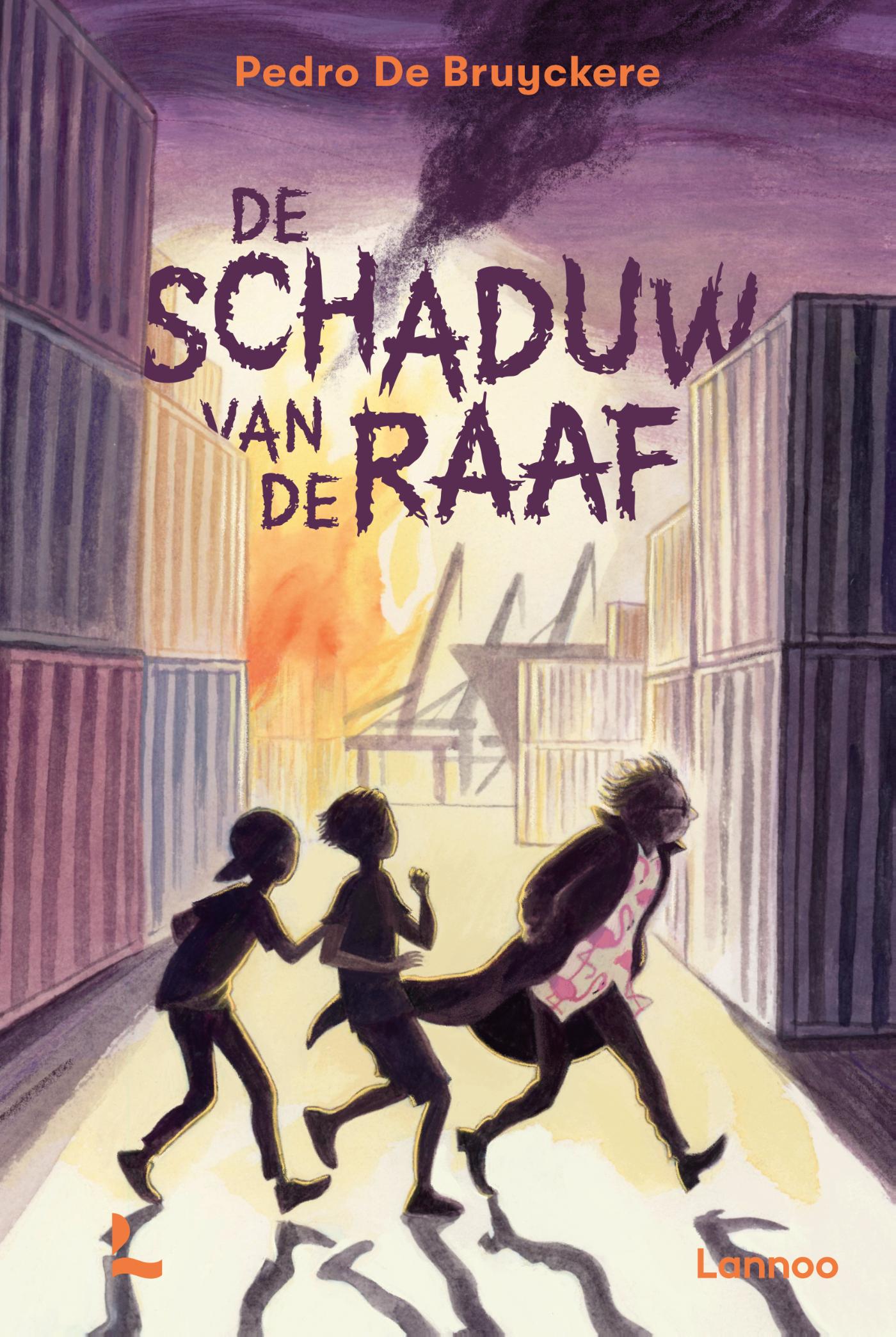 Omslag van De schaduw van de Raaf