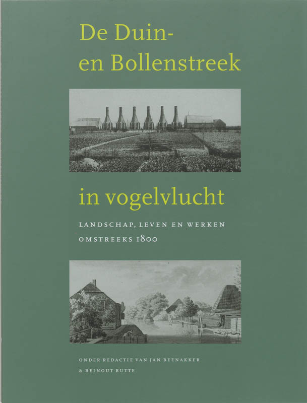 Omslag van De Duin- en Bollenstreek in vogelvlucht