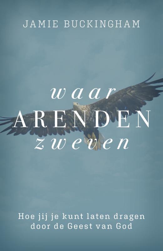 Omslag van Waar arenden zweven