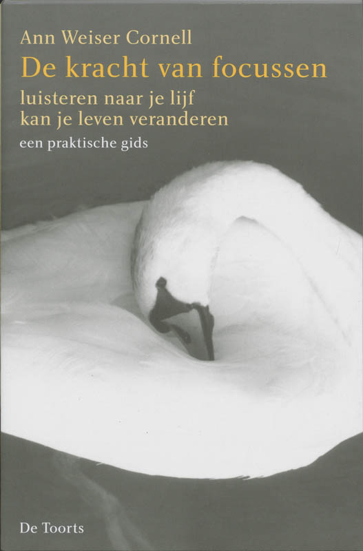 Omslag van De kracht van focussen