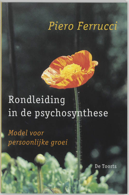 Omslag van Rondleiding in de psychosynthese