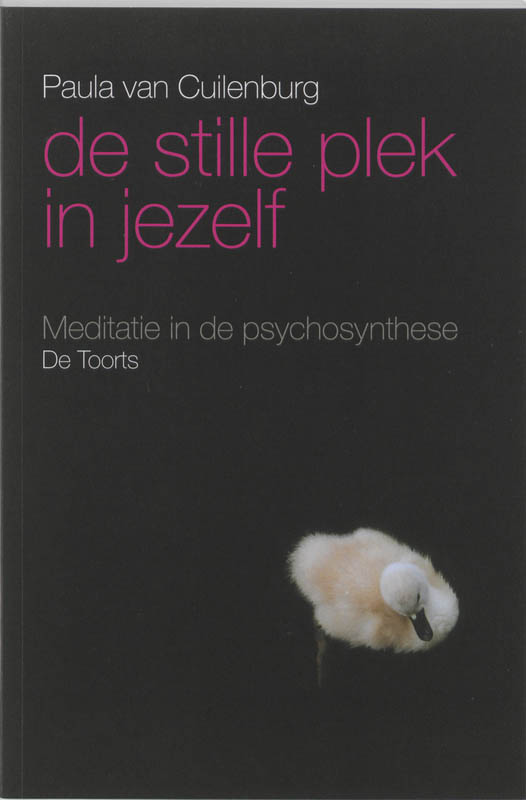 Omslag van De stille plek in jezelf