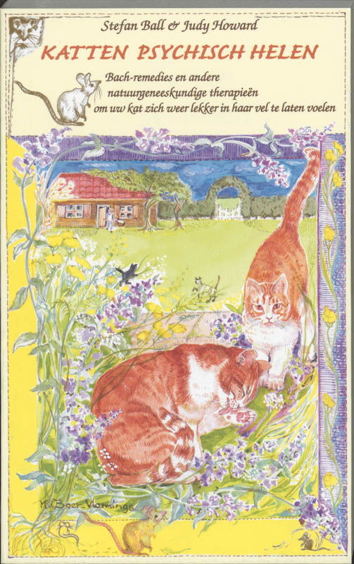 Omslag van Katten psychisch helen