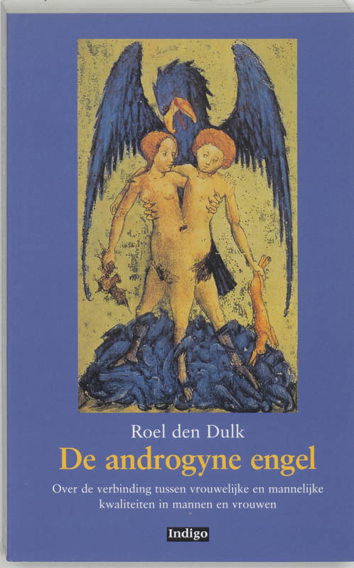 Omslag van De androgyne engel