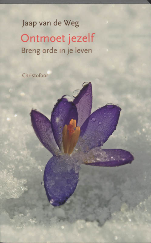 Omslag van Ontmoet jezelf, breng orde in je leven