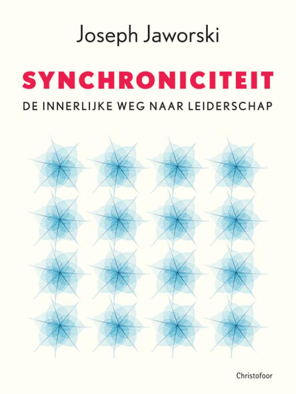 Omslag van Synchroniciteit