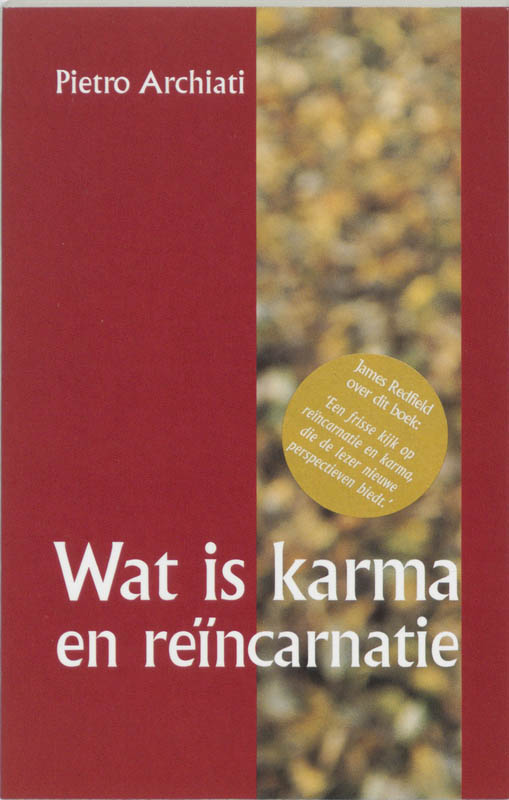 Omslag van Wat is karma en reincarnatie?