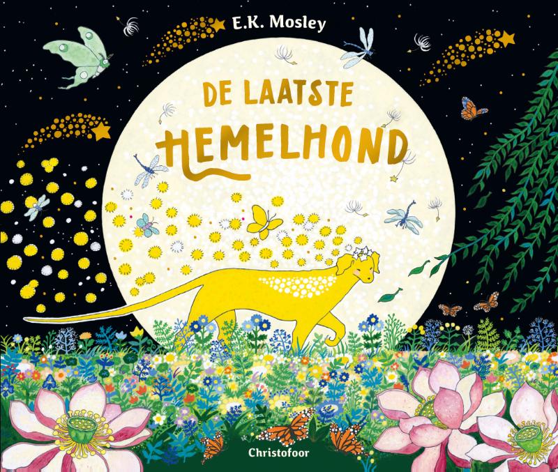Omslag van De laatste hemelhond