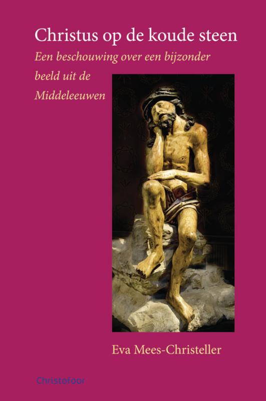 Omslag van Christus op de koude steen