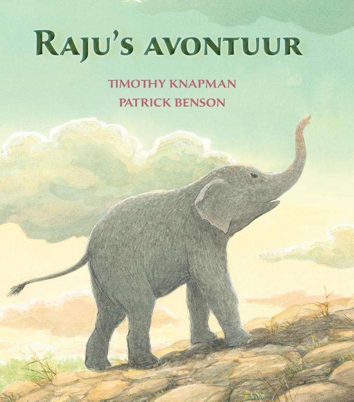 Omslag van Raju's avontuur
