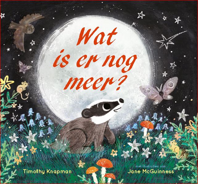 Omslag van Wat is er nog meer?