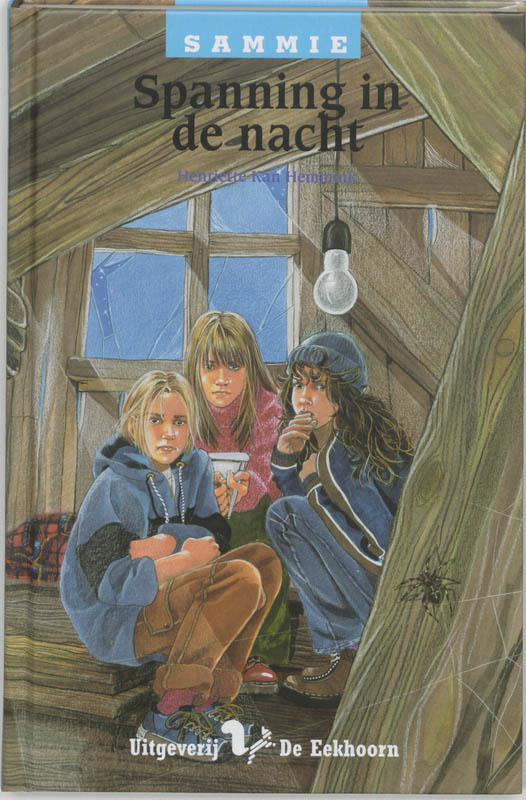 Omslag van Spanning in de nacht