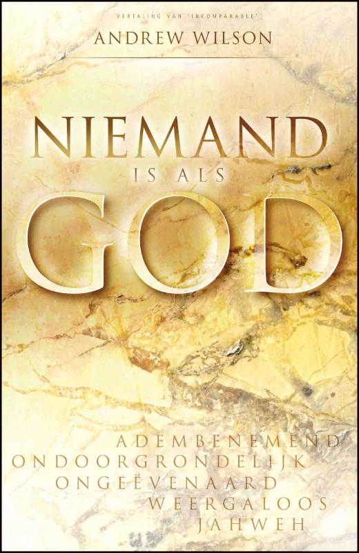 Omslag van Niemand is als God