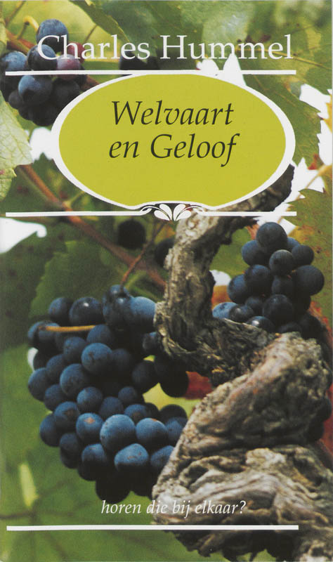 Omslag van Welvaart en geloof