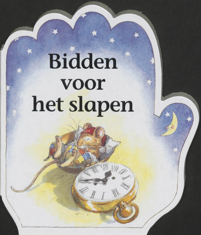 Omslag van Bidden voor het slapen
