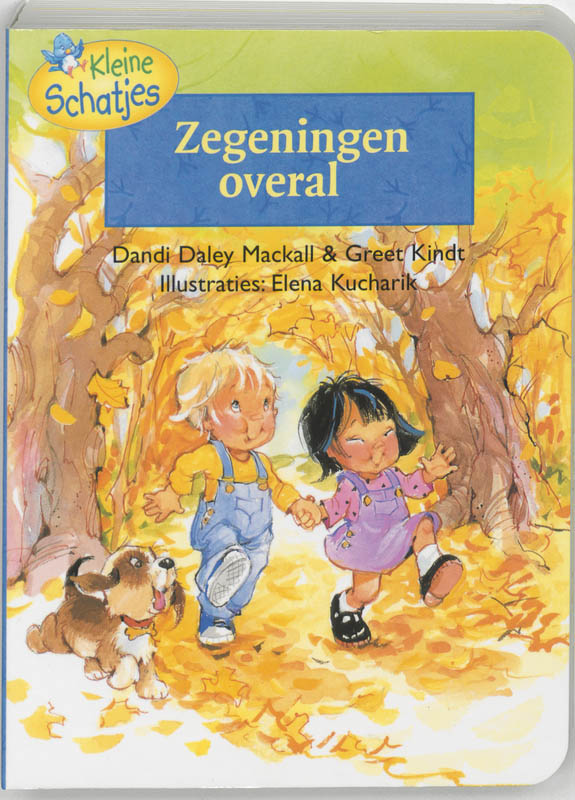 Omslag van Zegeningen overal