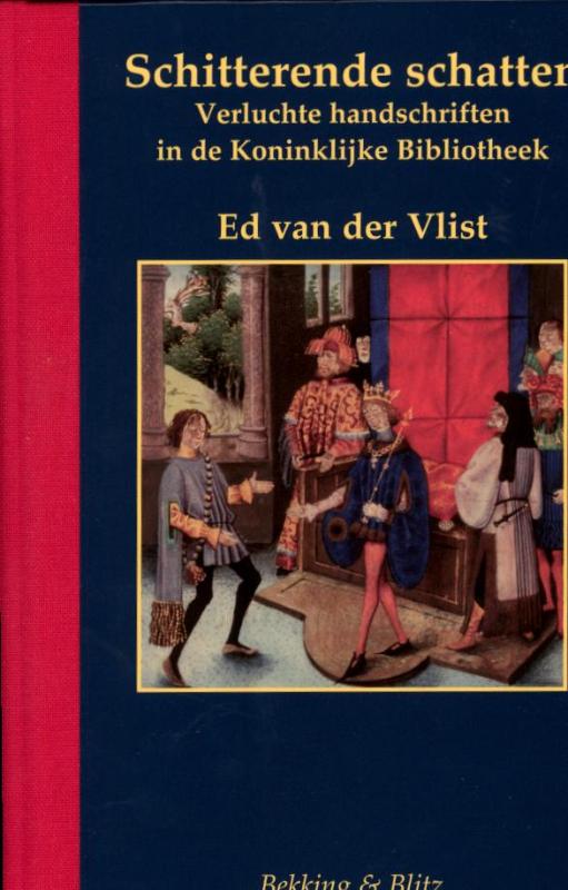 Omslag van Schitterende schatten