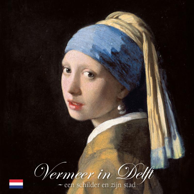 Omslag van Vermeer in Delft,