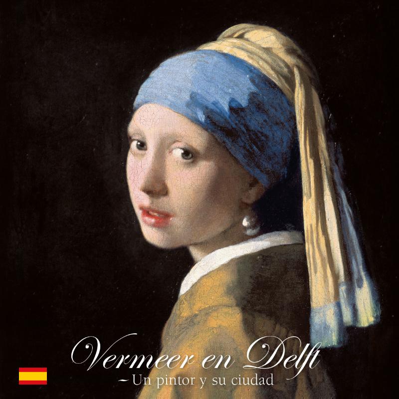 Omslag van Vermeer en Delft