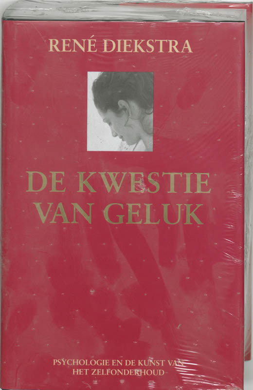 Omslag van De kwestie van geluk