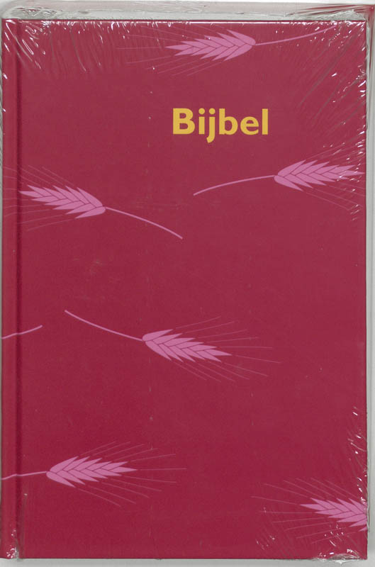Omslag van Bijbel