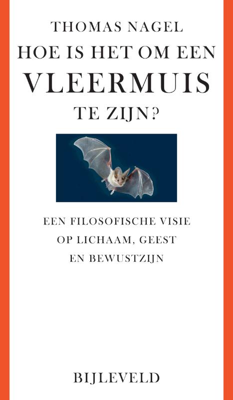 Omslag van Hoe is het om een vleermuis te zijn?