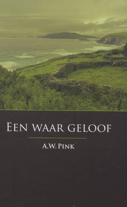 Omslag van Een waar geloof