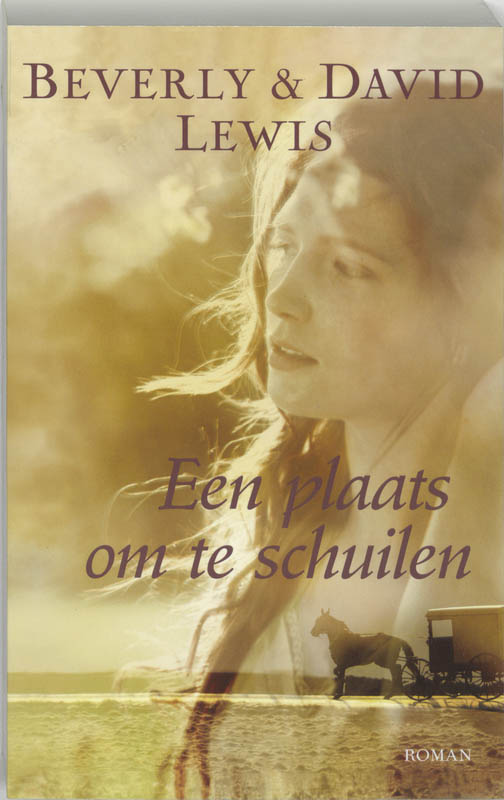 Omslag van Een plaats om te schuilen
