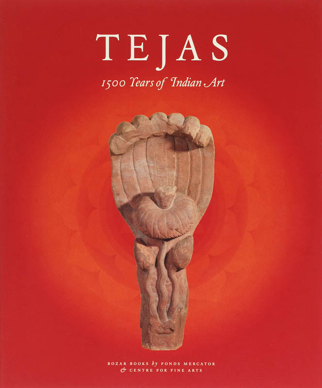 Omslag van Tejas eternal energy
