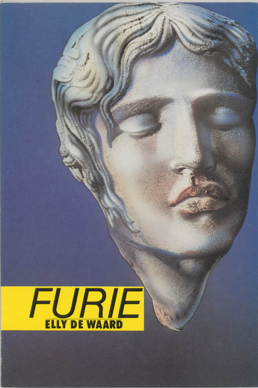 Omslag van Furie