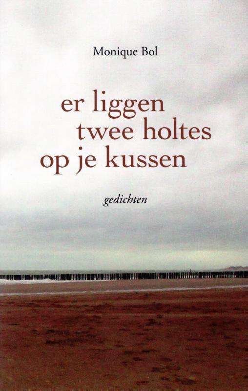 Omslag van Er liggen twee holtes op je kussen