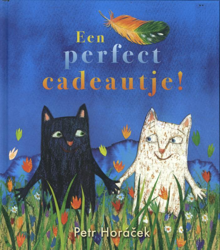 Omslag van Een perfect cadeautje !