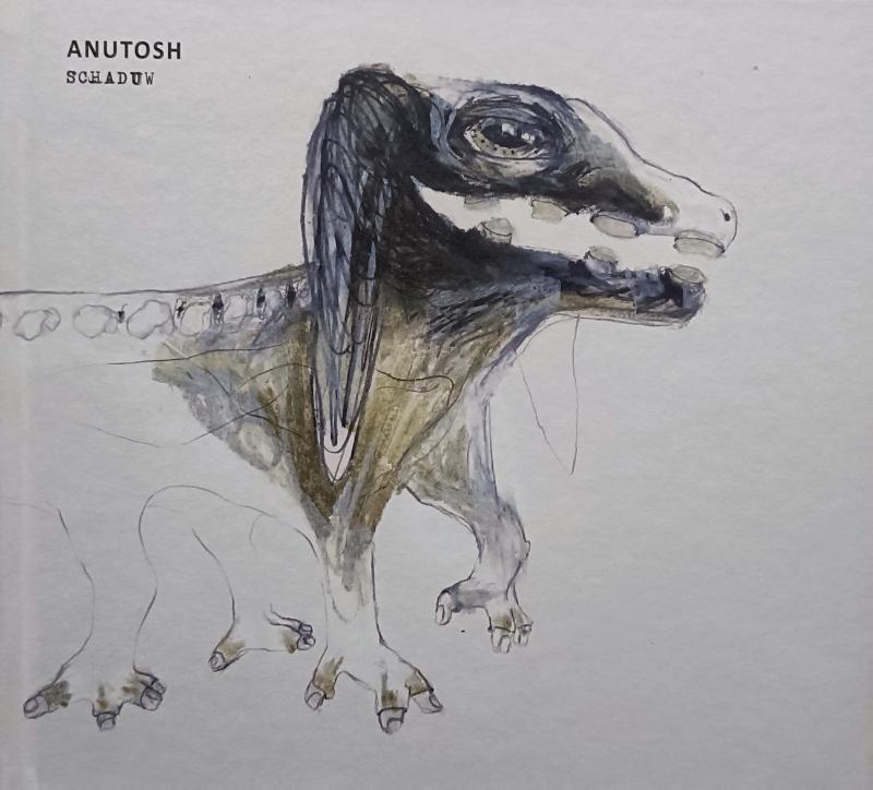 Omslag van Anutosh - Schaduw