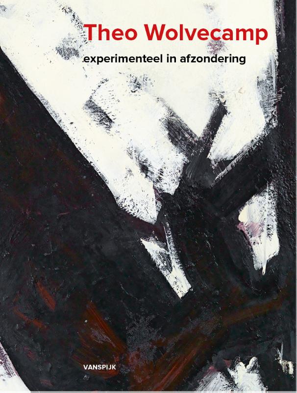 Omslag van Theo Wolvecamp - Experimenteel in afzondering