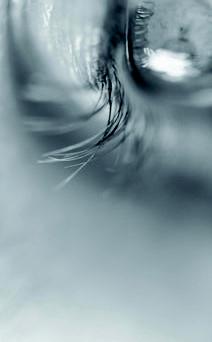 Omslag van Jan Kersschot - bodyscapes