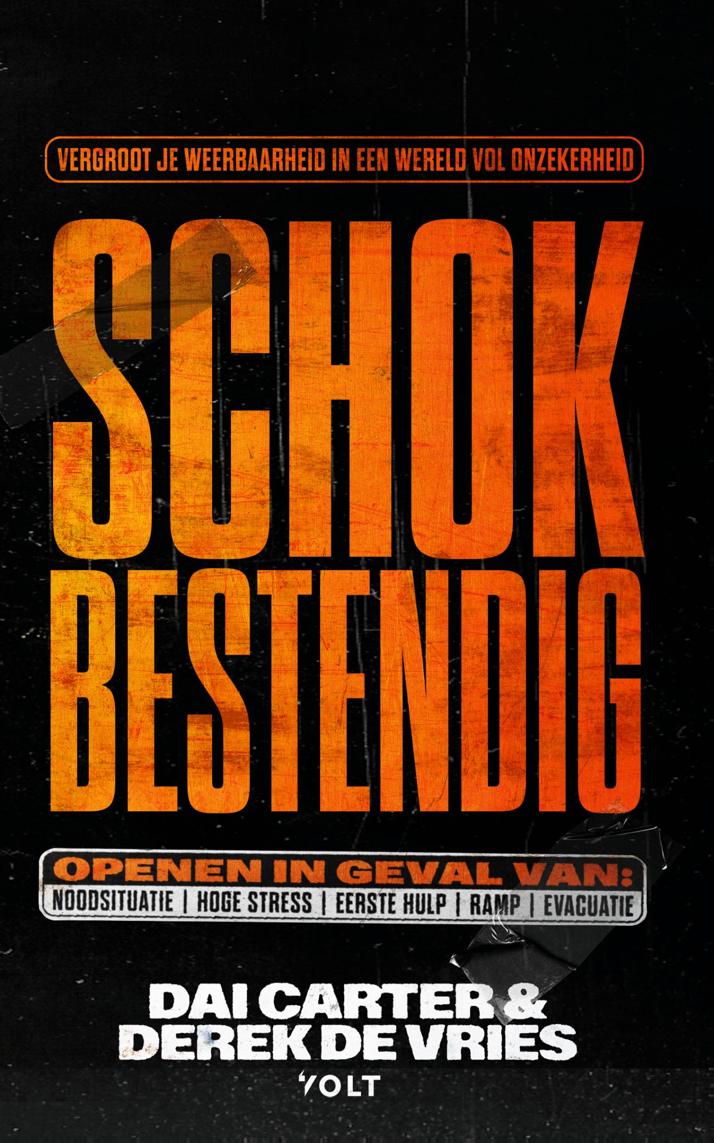 Omslag van Schokbestendig